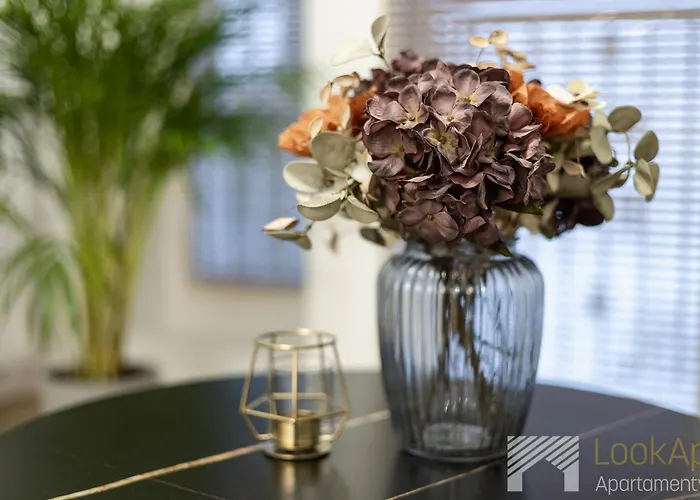 Diasfera Premium By Lookap * Łódź